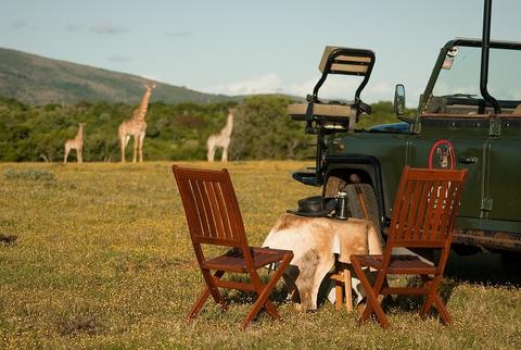 temba-game-reserve-grahamstown-accommodation-21